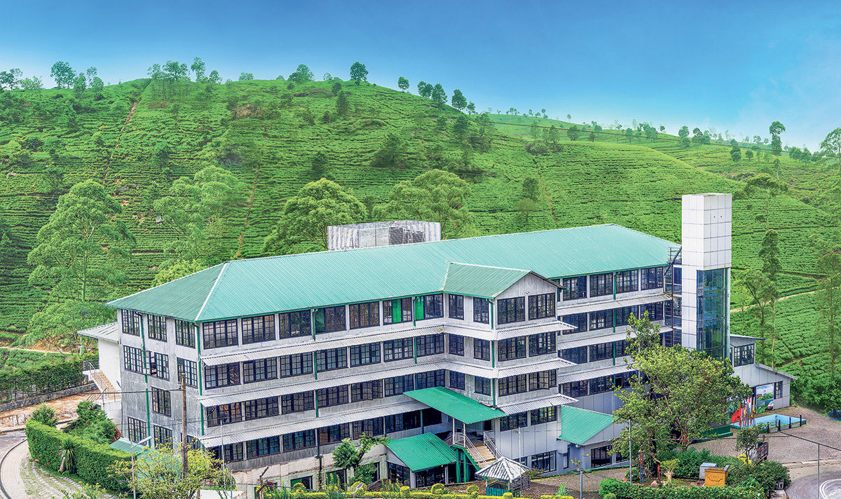 Damro Labookellie Tea Centre Tour