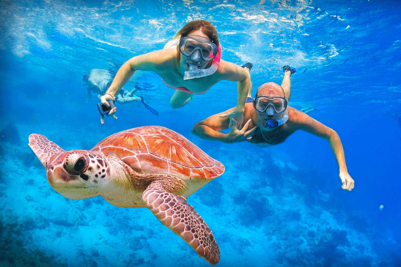 06 Days 05 Nights Package – 04 Adults