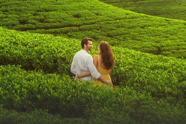Dambatenne Tea Factory Tour